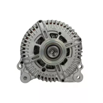 Alternateur BV PSH 305.522.180.500