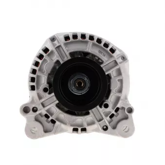 Alternateur BV PSH 305.523.120.018