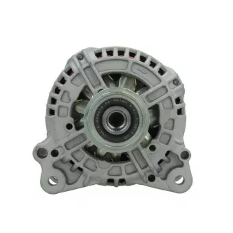 Alternateur BV PSH 305.524.120.010