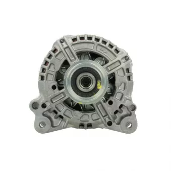 Alternateur BV PSH 305.524.120.210