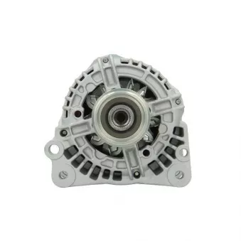 Alternateur BV PSH 305.525.090.010