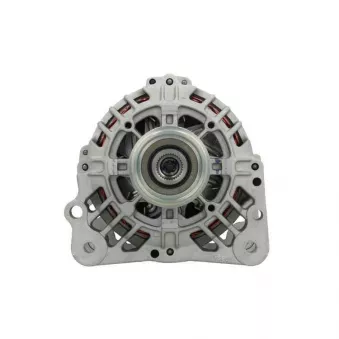 Alternateur BV PSH 305.525.090.500