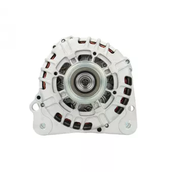 Alternateur BV PSH 305.525.120.004