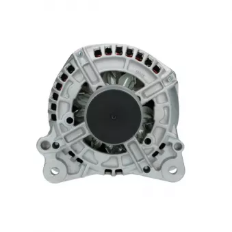 Alternateur BV PSH 305.525.120.018