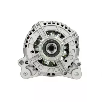 Alternateur BV PSH 305.525.140.010