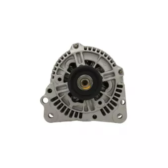 Alternateur BV PSH 305.527.070.215