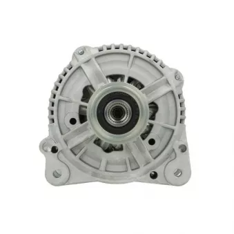 Alternateur BV PSH 305.528.120.010