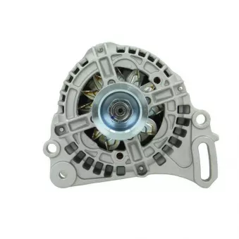 Alternateur BV PSH 305.530.090.010