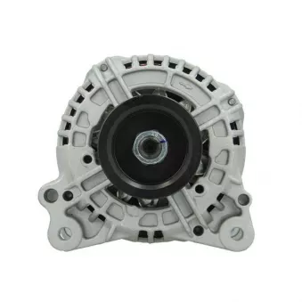 Alternateur BV PSH 305.533.120.010