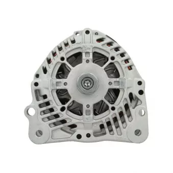 Alternateur BV PSH 305.533.120.500