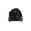 Alternateur BV PSH 305.537.090.215 - Visuel 3
