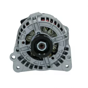 Alternateur BV PSH 305.538.110.018