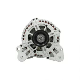 Alternateur BV PSH 305.538.110.500