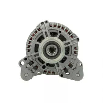 Alternateur BV PSH 305.539.110.000