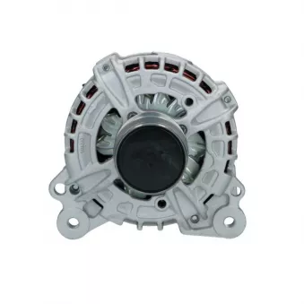 Alternateur BV PSH 305.541.140.018