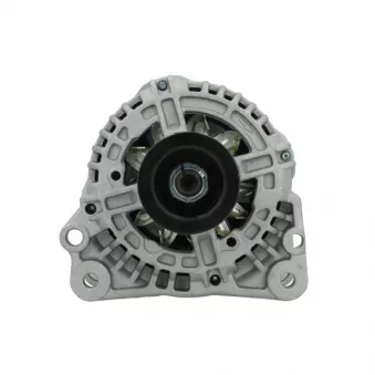 Alternateur BV PSH 305.542.110.010
