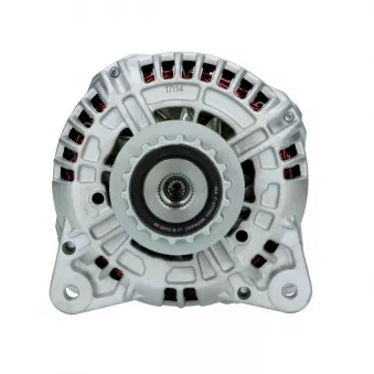 Alternateur BV PSH 305.544.150.019