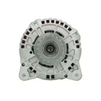 Alternateur BV PSH 305.544.180.010