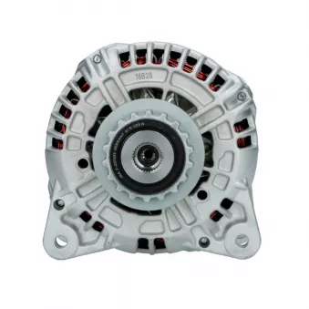 Alternateur BV PSH 305.544.180.019