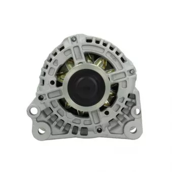 Alternateur BV PSH 305.545.090.010