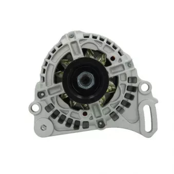 Alternateur BV PSH 305.546.070.010