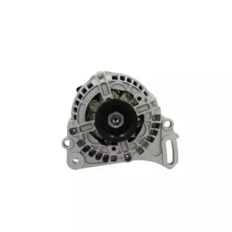 Alternateur BV PSH 305.546.070.018