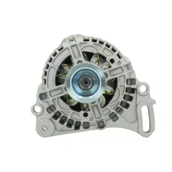 Alternateur BV PSH 305.547.070.010