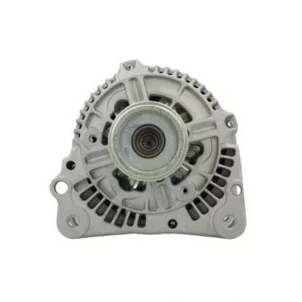 Alternateur BV PSH 305.549.090.010