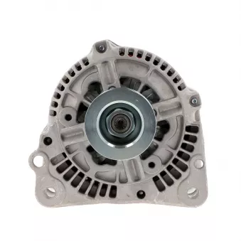 Alternateur BV PSH 305.549.090.018