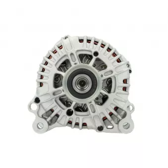 Alternateur BV PSH 305.552.140.004