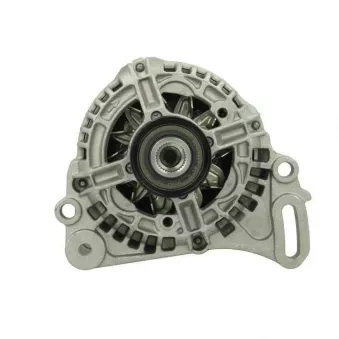 Alternateur BV PSH 305.553.110.210