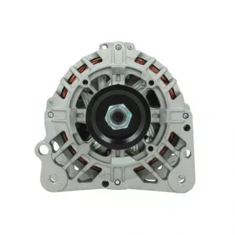 Alternateur BV PSH 305.554.090.000