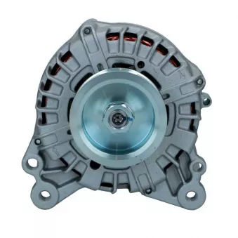 Alternateur BV PSH 305.556.180.008