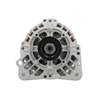 Alternateur BV PSH 305.560.070.000