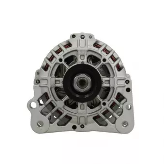 Alternateur BV PSH 305.560.090.000