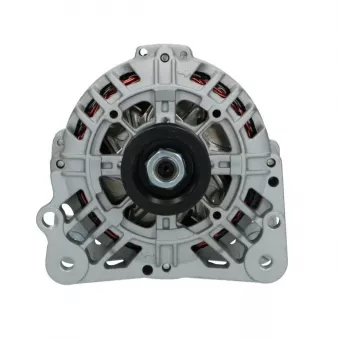 Alternateur BV PSH 305.560.090.008