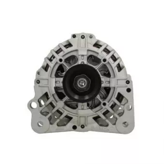 Alternateur BV PSH 305.560.090.500