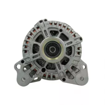 Alternateur BV PSH 305.563.110.500