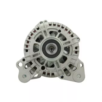 Alternateur BV PSH 305.564.110.000