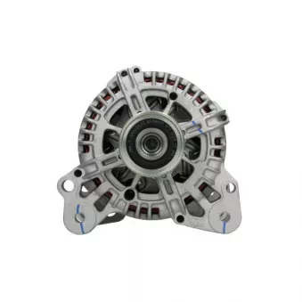 Alternateur BV PSH 305.564.110.500