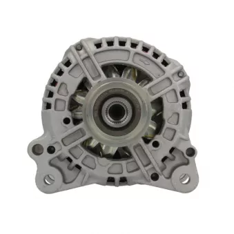 Alternateur BV PSH 305.565.150.010