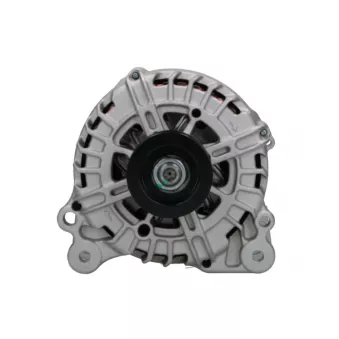 Alternateur BV PSH 305.569.180.000