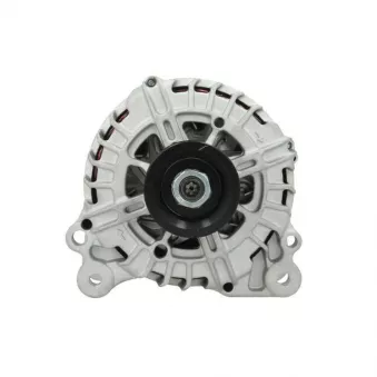 Alternateur BV PSH 305.569.180.004