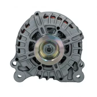 Alternateur BV PSH 305.569.180.500