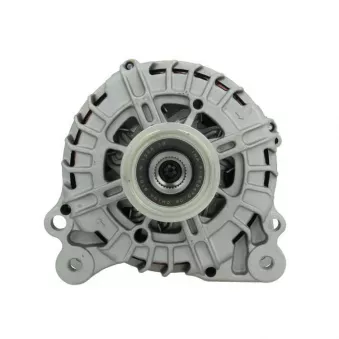 Alternateur BV PSH 305.570.180.004