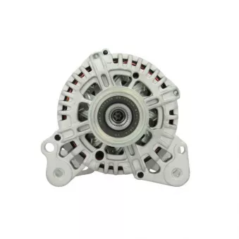 Alternateur BV PSH 305.571.110.004