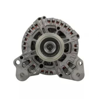 Alternateur BV PSH 305.571.110.500