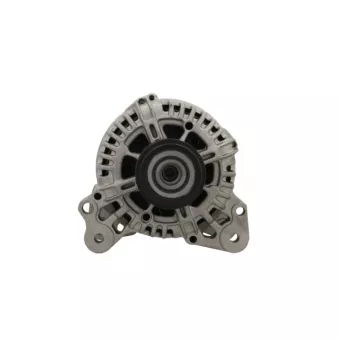 Alternateur BV PSH 305.571.110.505