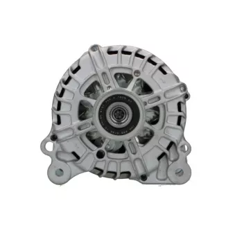 Alternateur BV PSH 305.572.140.000