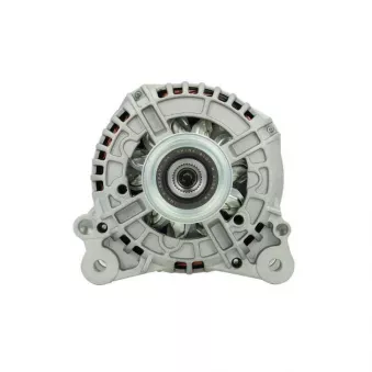 Alternateur BV PSH 305.573.140.010